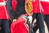Trooping the Colour 2016.
Horse Guards Parade, Westminster,
London SW1A,
London,
United Kingdom,
on 11 June 2016 at 11:37, image #644