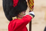Trooping the Colour 2016.
Horse Guards Parade, Westminster,
London SW1A,
London,
United Kingdom,
on 11 June 2016 at 11:37, image #645