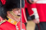 Trooping the Colour 2016.
Horse Guards Parade, Westminster,
London SW1A,
London,
United Kingdom,
on 11 June 2016 at 11:38, image #663