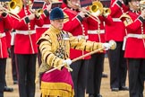 Trooping the Colour 2016.
Horse Guards Parade, Westminster,
London SW1A,
London,
United Kingdom,
on 11 June 2016 at 11:40, image #676