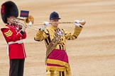 Trooping the Colour 2016.
Horse Guards Parade, Westminster,
London SW1A,
London,
United Kingdom,
on 11 June 2016 at 11:40, image #678