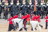Trooping the Colour 2016.
Horse Guards Parade, Westminster,
London SW1A,
London,
United Kingdom,
on 11 June 2016 at 11:44, image #690