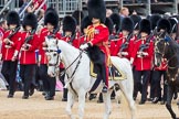 Trooping the Colour 2016.
Horse Guards Parade, Westminster,
London SW1A,
London,
United Kingdom,
on 11 June 2016 at 11:45, image #694