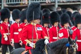 Trooping the Colour 2016.
Horse Guards Parade, Westminster,
London SW1A,
London,
United Kingdom,
on 11 June 2016 at 11:45, image #698