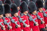 Trooping the Colour 2016.
Horse Guards Parade, Westminster,
London SW1A,
London,
United Kingdom,
on 11 June 2016 at 11:46, image #699