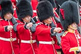 Trooping the Colour 2016.
Horse Guards Parade, Westminster,
London SW1A,
London,
United Kingdom,
on 11 June 2016 at 11:46, image #700