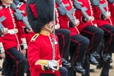 Trooping the Colour 2016.
Horse Guards Parade, Westminster,
London SW1A,
London,
United Kingdom,
on 11 June 2016 at 11:46, image #703