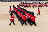 Trooping the Colour 2016.
Horse Guards Parade, Westminster,
London SW1A,
London,
United Kingdom,
on 11 June 2016 at 11:48, image #707