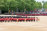 Trooping the Colour 2016.
Horse Guards Parade, Westminster,
London SW1A,
London,
United Kingdom,
on 11 June 2016 at 11:49, image #715