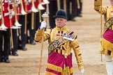Trooping the Colour 2016.
Horse Guards Parade, Westminster,
London SW1A,
London,
United Kingdom,
on 11 June 2016 at 11:54, image #729