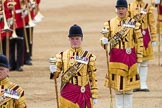 Trooping the Colour 2016.
Horse Guards Parade, Westminster,
London SW1A,
London,
United Kingdom,
on 11 June 2016 at 11:54, image #730