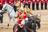Trooping the Colour 2016.
Horse Guards Parade, Westminster,
London SW1A,
London,
United Kingdom,
on 11 June 2016 at 11:55, image #747
