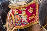 Trooping the Colour 2016.
Horse Guards Parade, Westminster,
London SW1A,
London,
United Kingdom,
on 11 June 2016 at 11:59, image #783
