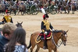 Trooping the Colour 2016.
Horse Guards Parade, Westminster,
London SW1A,
London,
United Kingdom,
on 11 June 2016 at 12:00, image #790
