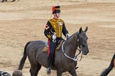 Trooping the Colour 2016.
Horse Guards Parade, Westminster,
London SW1A,
London,
United Kingdom,
on 11 June 2016 at 12:00, image #791