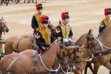 Trooping the Colour 2016.
Horse Guards Parade, Westminster,
London SW1A,
London,
United Kingdom,
on 11 June 2016 at 12:00, image #794