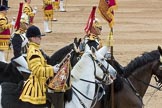 Trooping the Colour 2016.
Horse Guards Parade, Westminster,
London SW1A,
London,
United Kingdom,
on 11 June 2016 at 12:01, image #817
