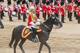 Trooping the Colour 2016.
Horse Guards Parade, Westminster,
London SW1A,
London,
United Kingdom,
on 11 June 2016 at 12:01, image #822