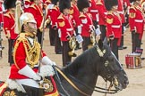 Trooping the Colour 2016.
Horse Guards Parade, Westminster,
London SW1A,
London,
United Kingdom,
on 11 June 2016 at 12:01, image #823