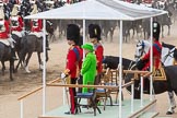 Trooping the Colour 2016.
Horse Guards Parade, Westminster,
London SW1A,
London,
United Kingdom,
on 11 June 2016 at 12:01, image #829