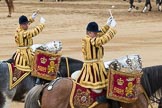 Trooping the Colour 2016.
Horse Guards Parade, Westminster,
London SW1A,
London,
United Kingdom,
on 11 June 2016 at 12:02, image #836