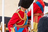 Trooping the Colour 2016.
Horse Guards Parade, Westminster,
London SW1A,
London,
United Kingdom,
on 11 June 2016 at 12:05, image #846