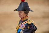 Trooping the Colour 2016.
Horse Guards Parade, Westminster,
London SW1A,
London,
United Kingdom,
on 11 June 2016 at 12:13, image #886