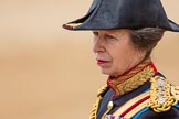 Trooping the Colour 2016.
Horse Guards Parade, Westminster,
London SW1A,
London,
United Kingdom,
on 11 June 2016 at 12:13, image #887