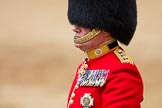 Trooping the Colour 2016.
Horse Guards Parade, Westminster,
London SW1A,
London,
United Kingdom,
on 11 June 2016 at 12:13, image #890