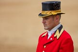 Trooping the Colour 2016.
Horse Guards Parade, Westminster,
London SW1A,
London,
United Kingdom,
on 11 June 2016 at 12:13, image #892