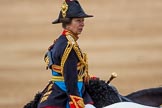 Trooping the Colour 2016.
Horse Guards Parade, Westminster,
London SW1A,
London,
United Kingdom,
on 11 June 2016 at 12:14, image #899