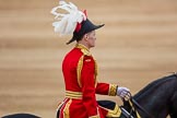 Trooping the Colour 2016.
Horse Guards Parade, Westminster,
London SW1A,
London,
United Kingdom,
on 11 June 2016 at 12:14, image #900