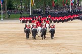 Trooping the Colour 2016.
Horse Guards Parade, Westminster,
London SW1A,
London,
United Kingdom,
on 11 June 2016 at 12:16, image #914