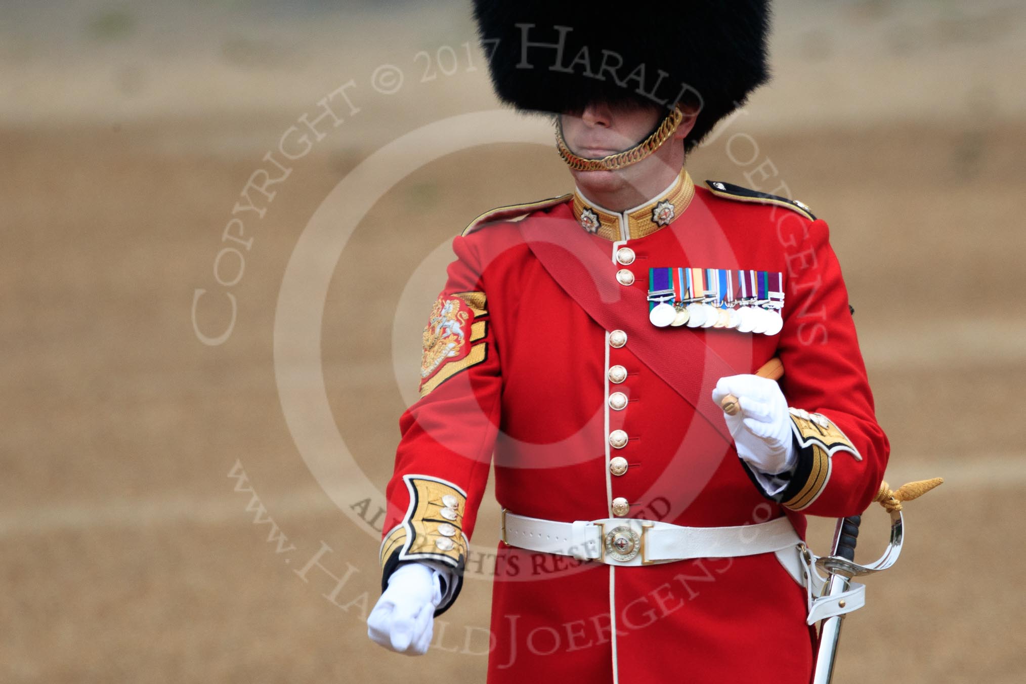 during The Colonel's Review {iptcyear4} (final rehearsal for Trooping the Colour, The Queen's Birthday Parade)  at Horse Guards Parade, Westminster, London, 2 June 2018, 10:20.