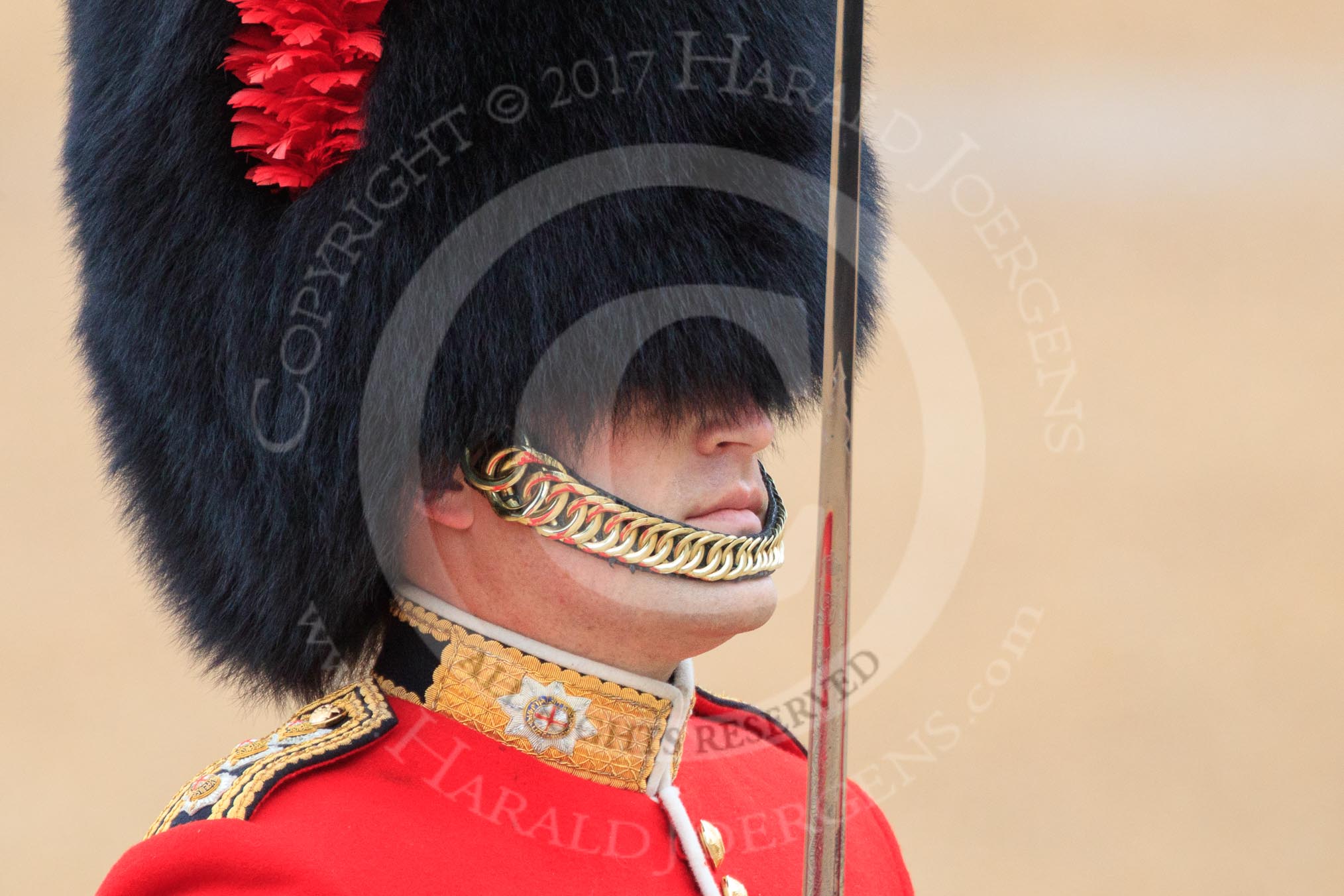 during The Colonel's Review {iptcyear4} (final rehearsal for Trooping the Colour, The Queen's Birthday Parade)  at Horse Guards Parade, Westminster, London, 2 June 2018, 10:32.