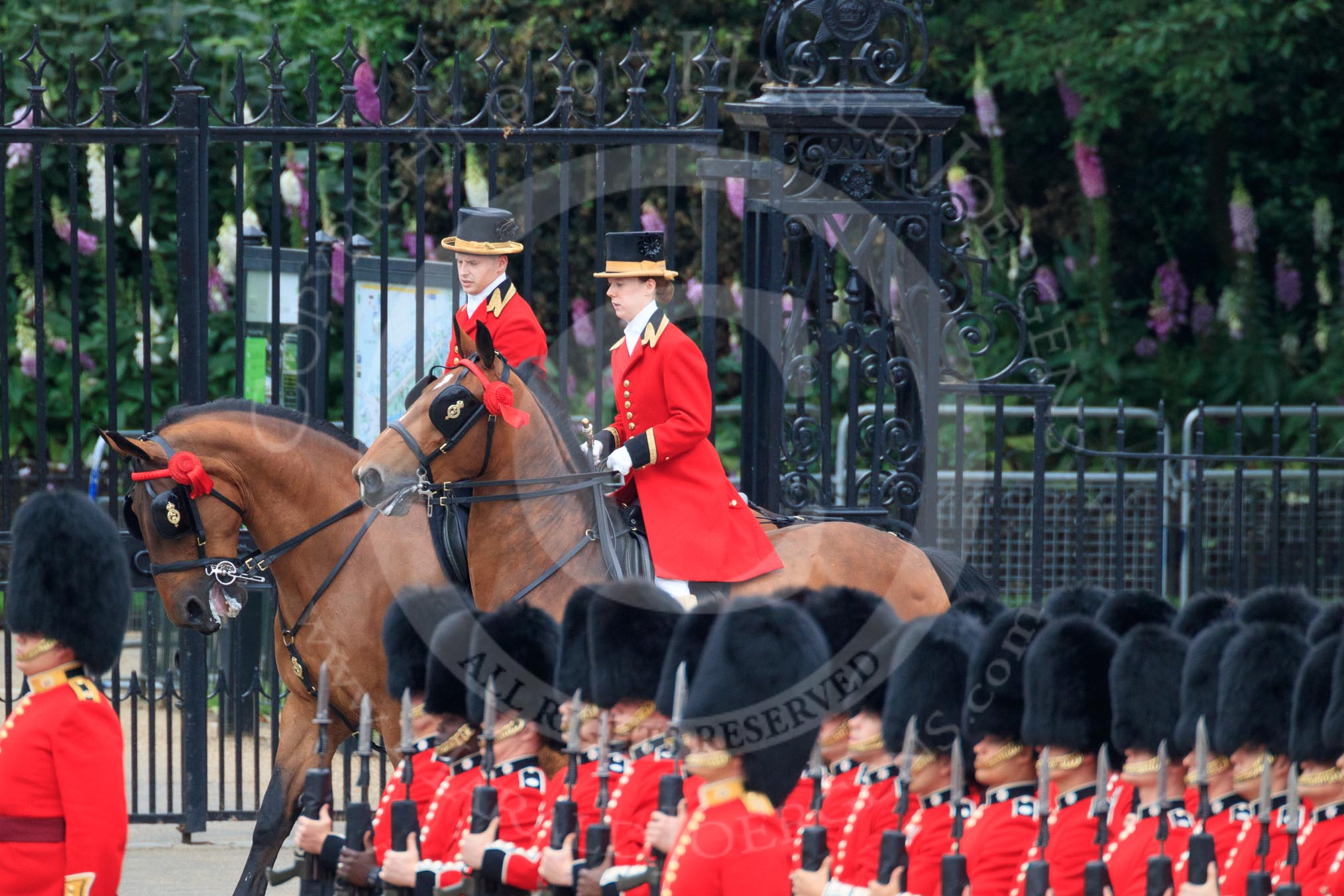 during The Colonel's Review {iptcyear4} (final rehearsal for Trooping the Colour, The Queen's Birthday Parade)  at Horse Guards Parade, Westminster, London, 2 June 2018, 10:50.