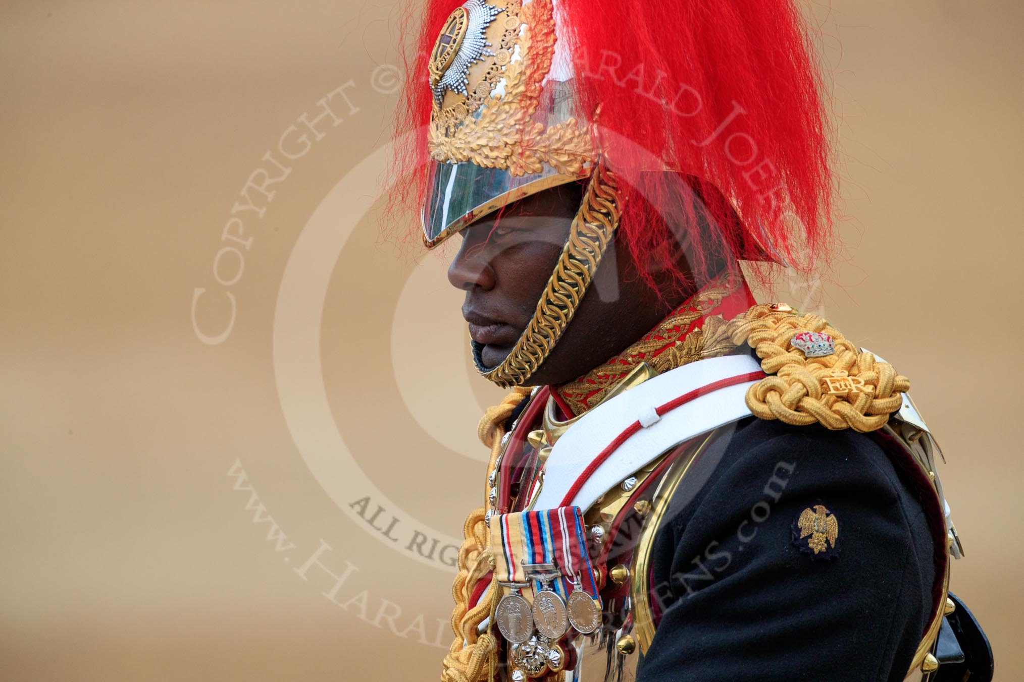 during The Colonel's Review {iptcyear4} (final rehearsal for Trooping the Colour, The Queen's Birthday Parade)  at Horse Guards Parade, Westminster, London, 2 June 2018, 11:01.
