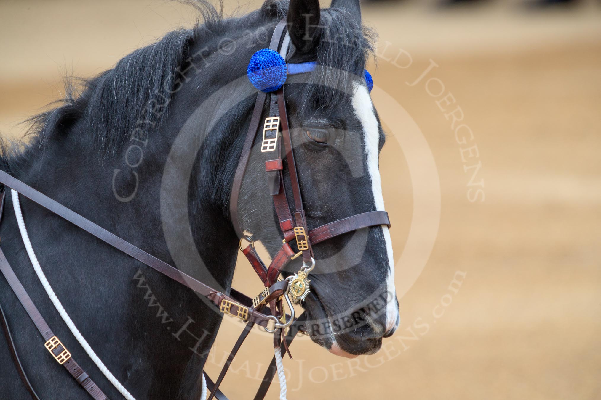 during The Colonel's Review {iptcyear4} (final rehearsal for Trooping the Colour, The Queen's Birthday Parade)  at Horse Guards Parade, Westminster, London, 2 June 2018, 11:35.