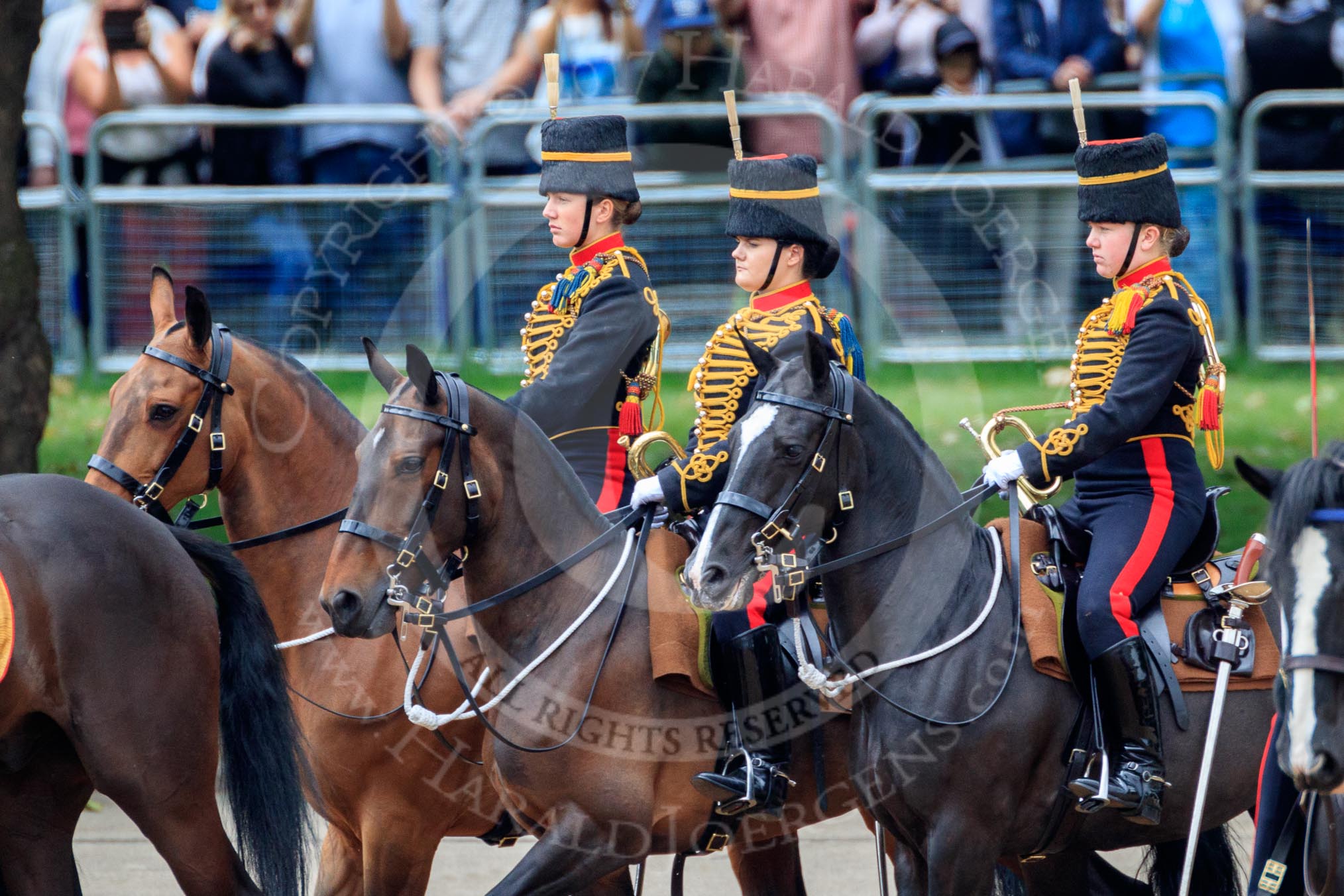 during The Colonel's Review {iptcyear4} (final rehearsal for Trooping the Colour, The Queen's Birthday Parade)  at Horse Guards Parade, Westminster, London, 2 June 2018, 11:55.