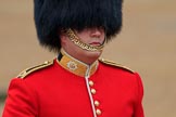 during The Colonel's Review {iptcyear4} (final rehearsal for Trooping the Colour, The Queen's Birthday Parade)  at Horse Guards Parade, Westminster, London, 2 June 2018, 09:54.
