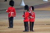 during The Colonel's Review {iptcyear4} (final rehearsal for Trooping the Colour, The Queen's Birthday Parade)  at Horse Guards Parade, Westminster, London, 2 June 2018, 10:18.