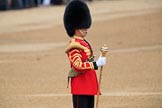 during The Colonel's Review {iptcyear4} (final rehearsal for Trooping the Colour, The Queen's Birthday Parade)  at Horse Guards Parade, Westminster, London, 2 June 2018, 10:19.