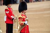 during The Colonel's Review {iptcyear4} (final rehearsal for Trooping the Colour, The Queen's Birthday Parade)  at Horse Guards Parade, Westminster, London, 2 June 2018, 10:19.