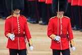 during The Colonel's Review {iptcyear4} (final rehearsal for Trooping the Colour, The Queen's Birthday Parade)  at Horse Guards Parade, Westminster, London, 2 June 2018, 10:29.