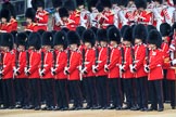 during The Colonel's Review {iptcyear4} (final rehearsal for Trooping the Colour, The Queen's Birthday Parade)  at Horse Guards Parade, Westminster, London, 2 June 2018, 10:31.