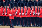 during The Colonel's Review {iptcyear4} (final rehearsal for Trooping the Colour, The Queen's Birthday Parade)  at Horse Guards Parade, Westminster, London, 2 June 2018, 10:31.