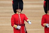 during The Colonel's Review {iptcyear4} (final rehearsal for Trooping the Colour, The Queen's Birthday Parade)  at Horse Guards Parade, Westminster, London, 2 June 2018, 10:32.