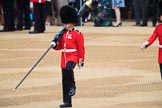 Colour Sentry Guardsman Jonathon Hughes (26) during The Colonel's Review 2018 (final rehearsal for Trooping the Colour, The Queen's Birthday Parade)  at Horse Guards Parade, Westminster, London, 2 June 2018, 10:32.
