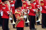 during The Colonel's Review {iptcyear4} (final rehearsal for Trooping the Colour, The Queen's Birthday Parade)  at Horse Guards Parade, Westminster, London, 2 June 2018, 10:35.