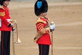 during The Colonel's Review {iptcyear4} (final rehearsal for Trooping the Colour, The Queen's Birthday Parade)  at Horse Guards Parade, Westminster, London, 2 June 2018, 10:35.